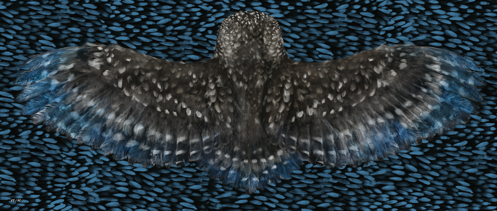 Screen Shot 2017-10-01 at 3.59.11 pm